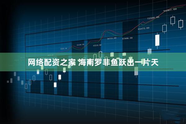 网络配资之家 海南罗非鱼跃出一片天