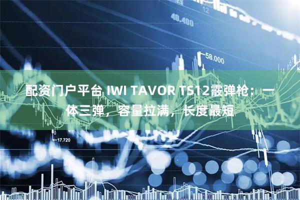 配资门户平台 IWI TAVOR TS12霰弹枪：一体三弹，容量拉满，长度最短